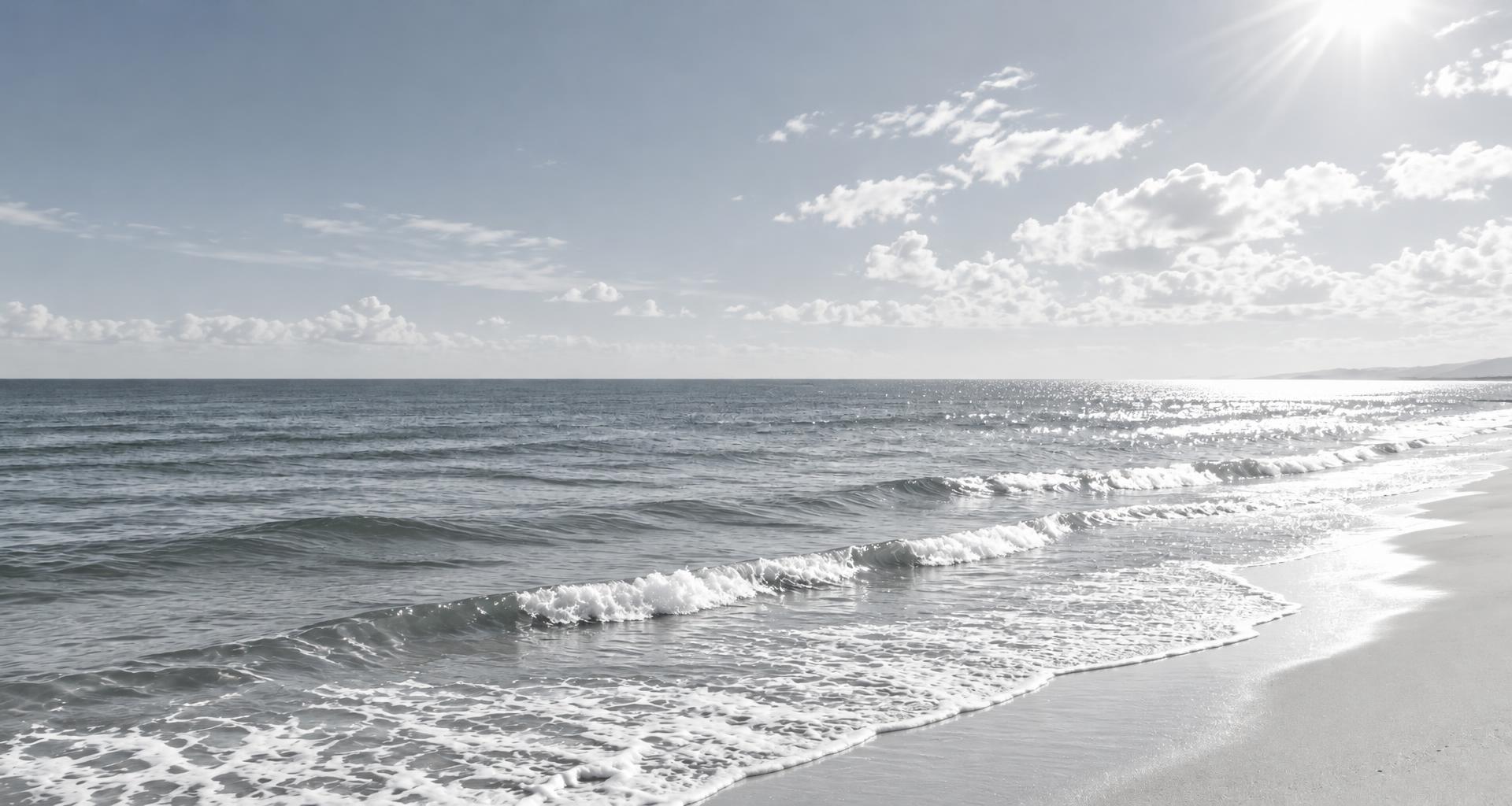 Sunlit waves along a bright black-and-white shoreline